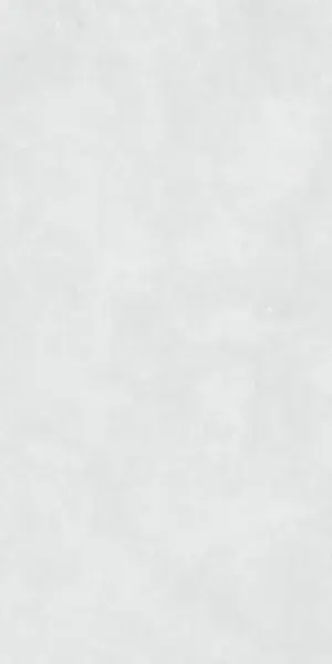 לוח Lithic Coin