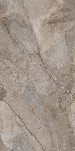 לוח Silver River